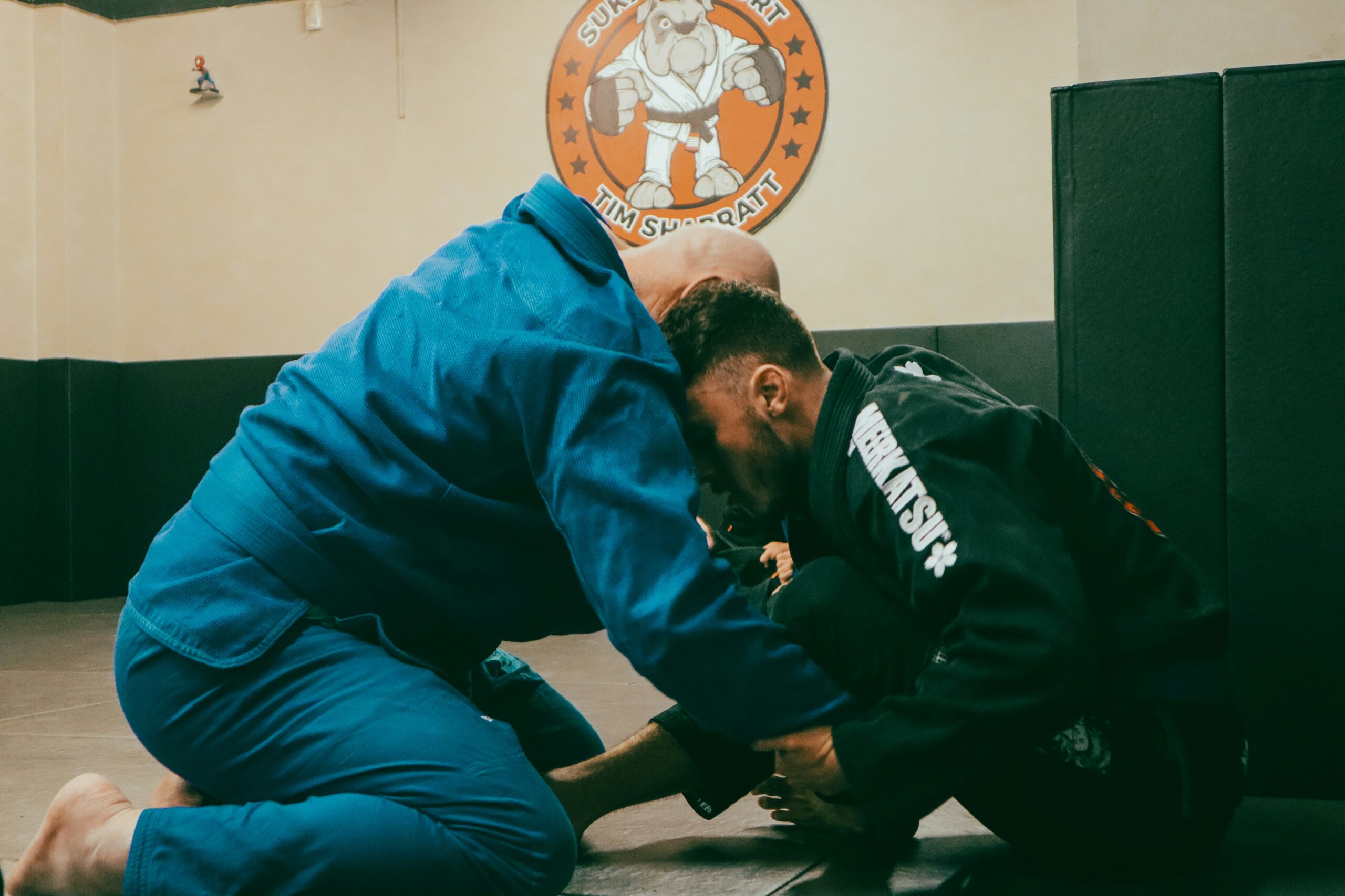 BRAZILLIAN JIU-JITSU